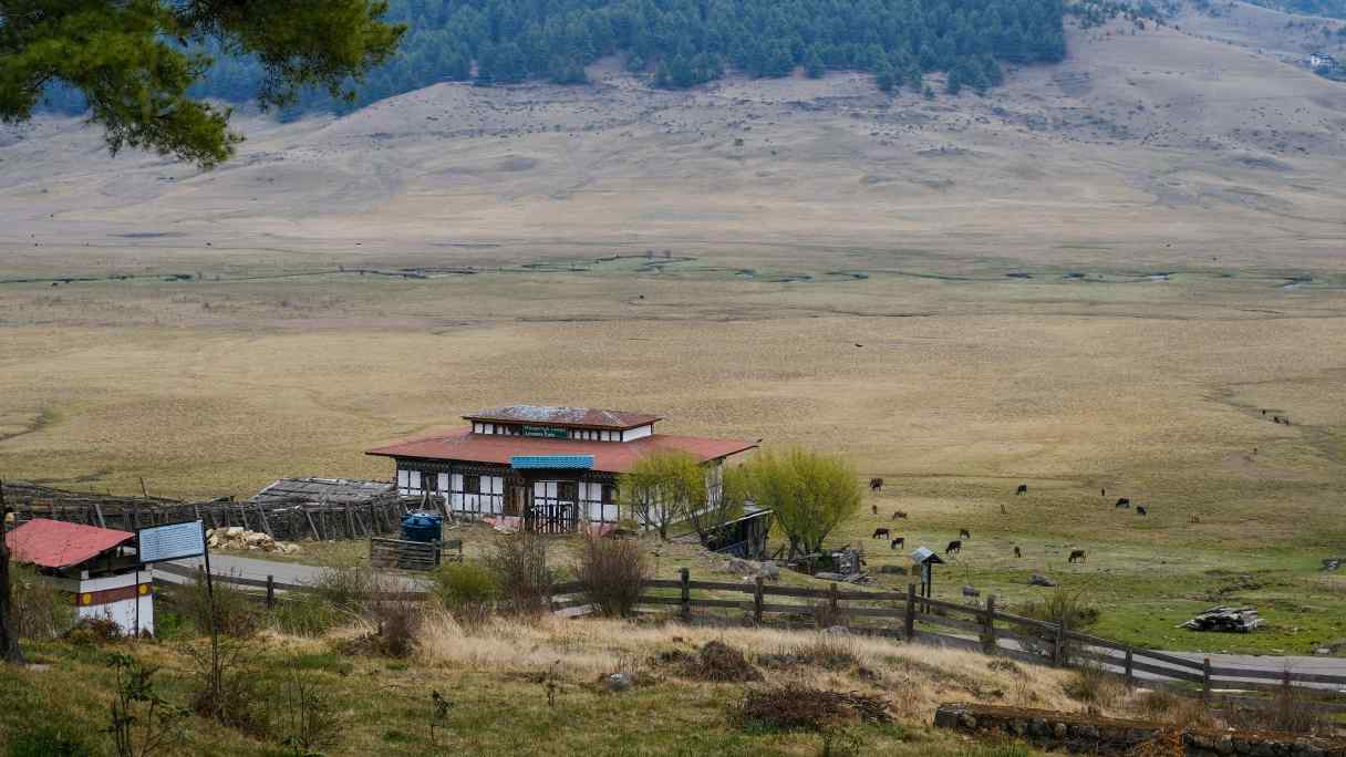 A lush pasture in Bhutan's&nbsp;Phobjikha Valley in springtime. From October to February, the glacial valley provides roosting grounds for hundreds of black-necked cranes migrating from Tibet. (All photos by Zinara Rathnayake)