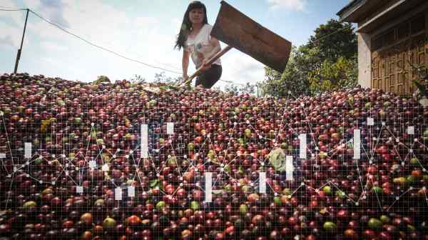 Coffee prices have been soaring in recent months, with London futures for robusta coffee beans reaching a historic&nbsp;high in July. (Source photo by Ken Kobayashi)