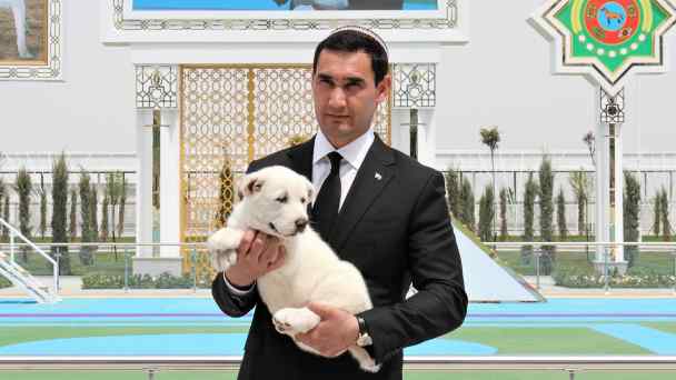 Turkmenistan's Serdar&nbsp;Berdymukhamedov has seen his path to the presidency&nbsp;quickly truncated amid rumors of his father's ill health.