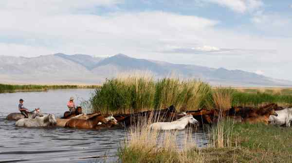 The reservoir for the Erdeneburen hydroelectric project&nbsp;would submerge a large area now used by migratory birds and herders from various ethnic groups.&nbsp;