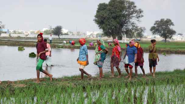 India is forecast to account for 20% of growth in global food consumption over the next decade as its economy and population grow.