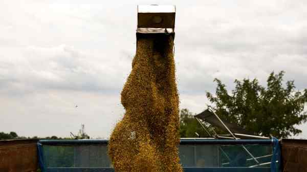 Paddy is loaded onto a truck as farmers harvest a&nbsp;rice&nbsp;field in Thailand's Chainat province. Bangkok has significantly increased its exports of the grain to the Philippines this year.