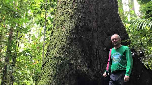 Ferry Slik, a&nbsp;professor at the&nbsp;University of Brunei Darussalam, says there are still many mysteries surrounding big trees. He spends weeks in this forest every year striving to change that.&nbsp;(Photo by Sandy Ong)