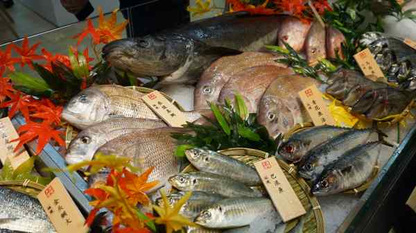 Seafood at a market in Shanghai in August 2023. (Photo by Tomoko Wakasugi)